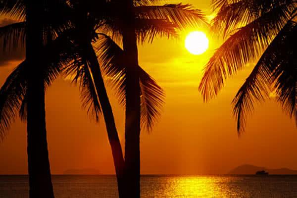 26 Chillout and Tropical