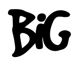 cropped bigportal logo 1 270x270 1