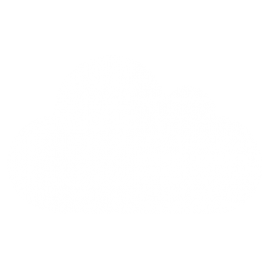 cropped favicon 270x270 3